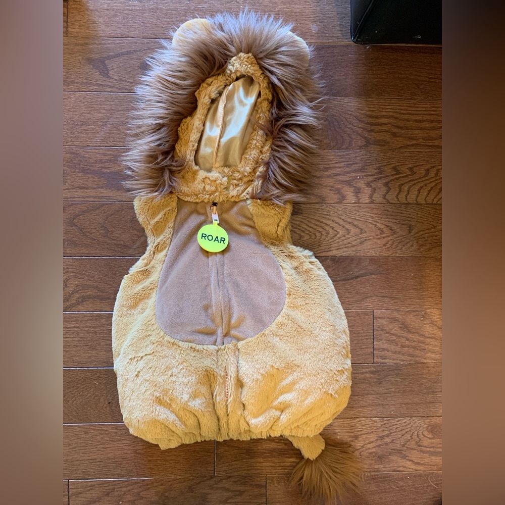 Lion Halloween Costume